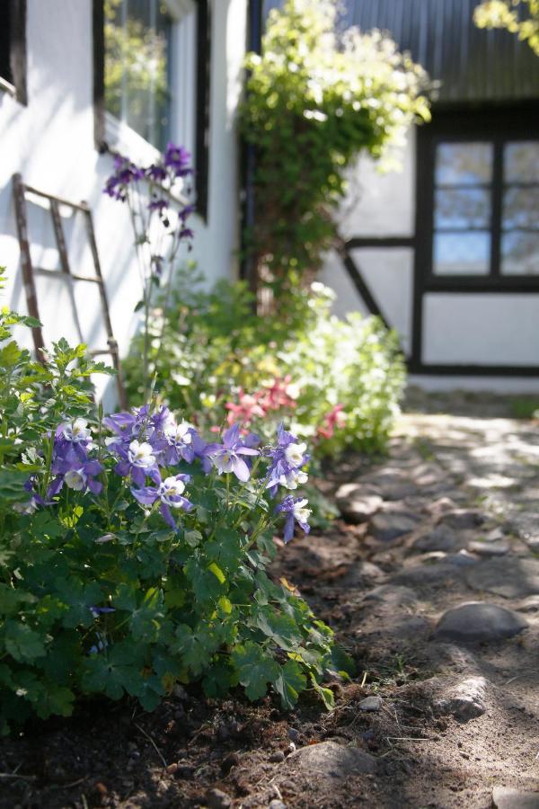 Bed and Breakfast Arroeds Bostaelle Tollarp Zewnętrze zdjęcie