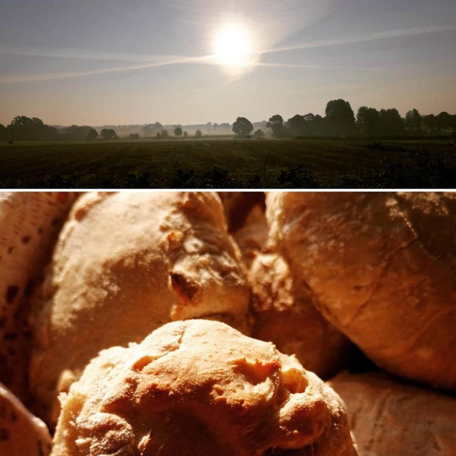 Bed and Breakfast Arroeds Bostaelle Tollarp Zewnętrze zdjęcie